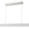 10096PN-WH Modern suspended linear LED pendant light isolated on white background.