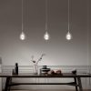 61LFZZjWjJL._AC_SL1500_ Modern pendant lights over a wooden dining table with decorative items.