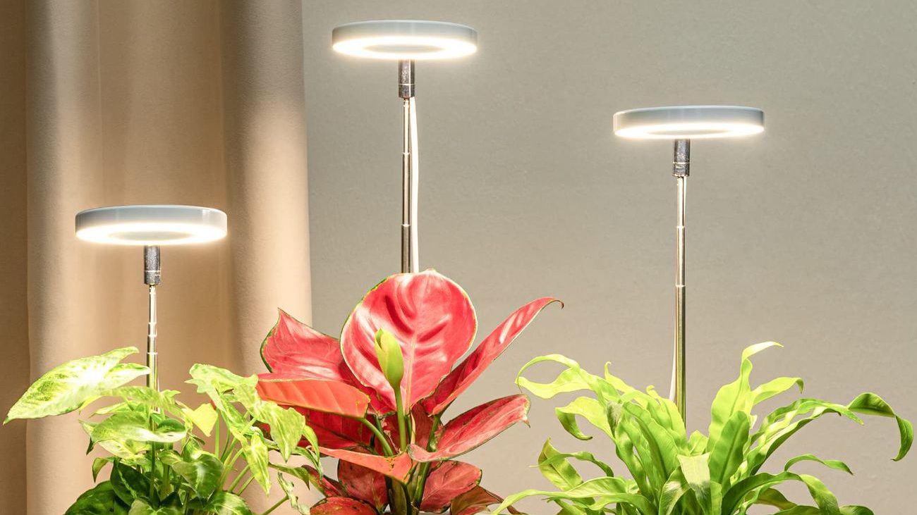 House Plants With Grow Lights