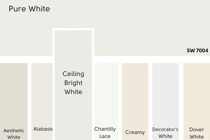 Different Shades Of Wall Paint