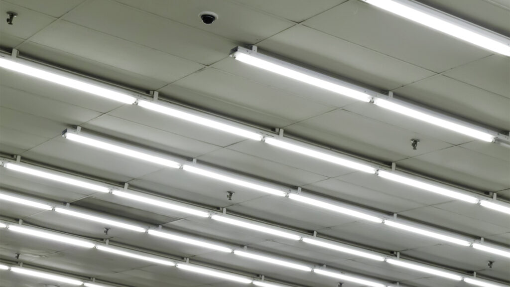 rows of fluorescent light fixtures 