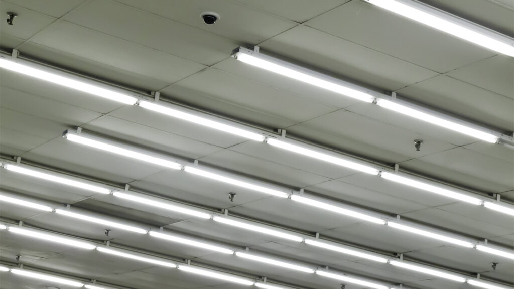 rows of fluorescent light fixtures