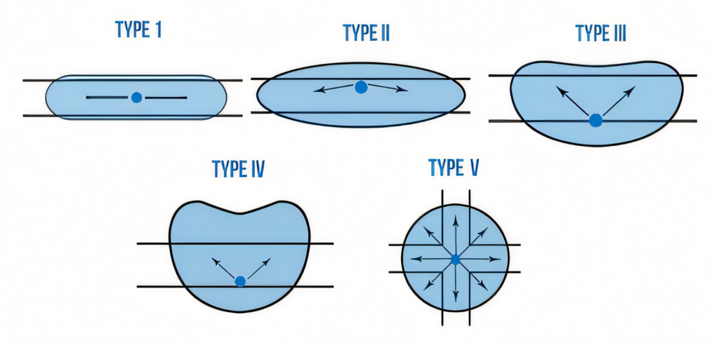 Diagram of different actin-based cell motility types: Type I, II, III, IV, and V, showing varying shapes and directional patterns.